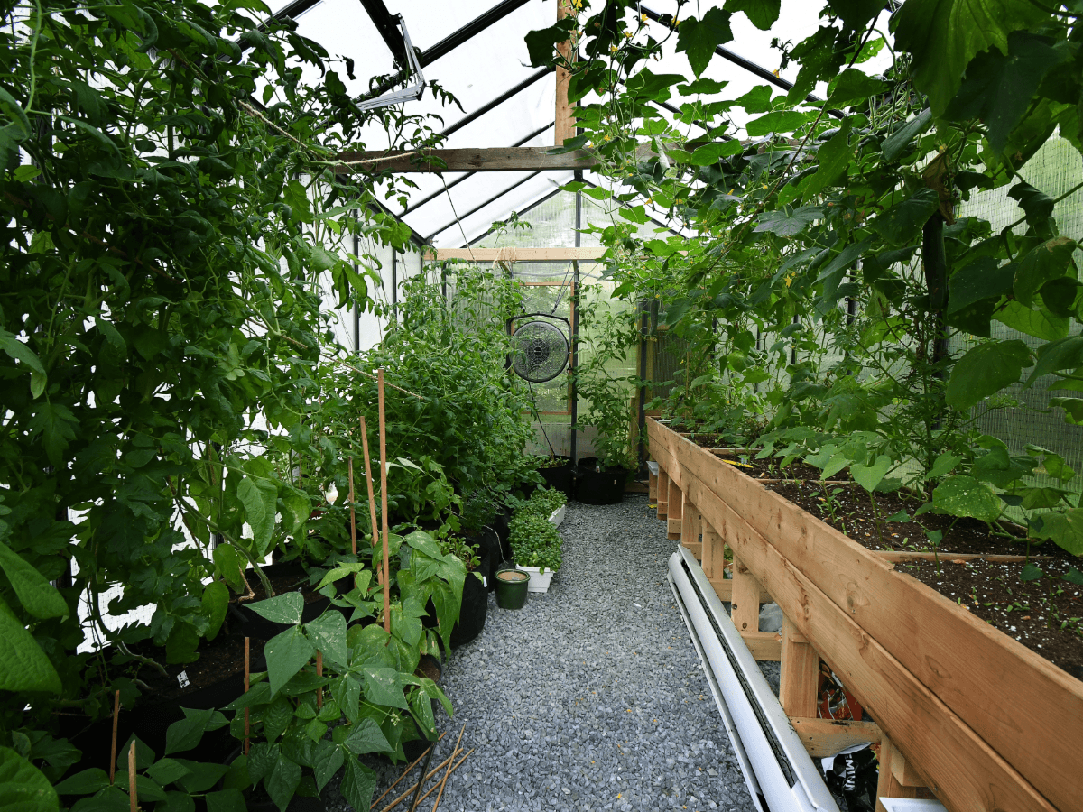 Climate & airflow