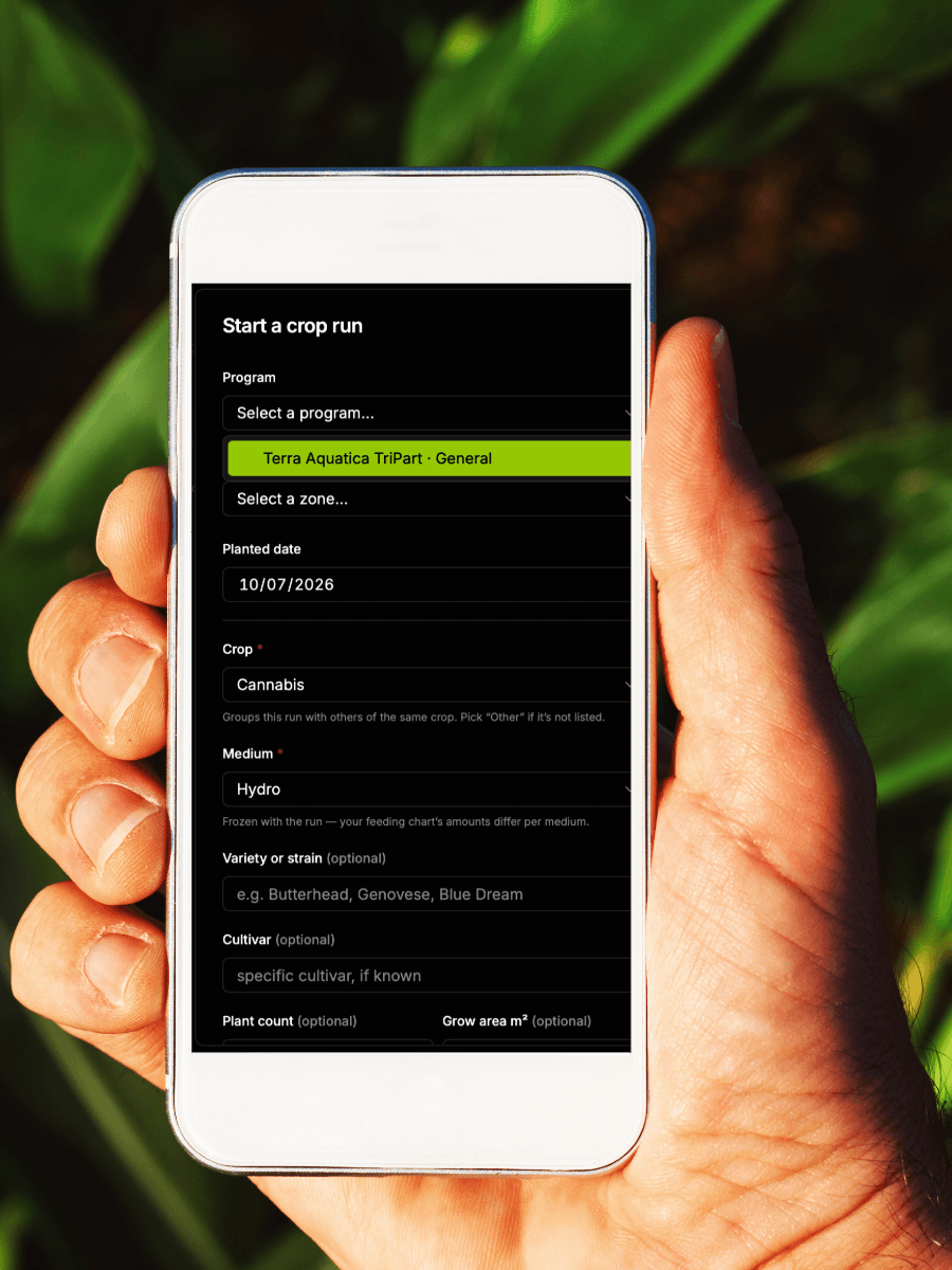 A grower holding a phone showing the HortiNode dashboard — starting a crop run, out in the grow.
